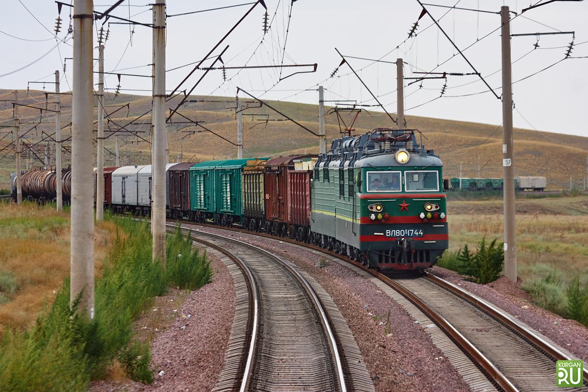 В Курганскую область на грузовом поезде прибыли незваные гости