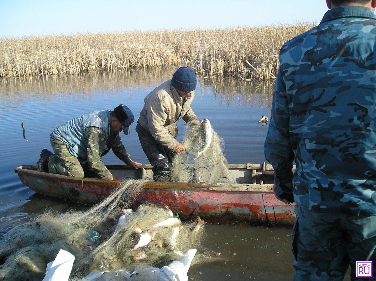 Штраф за ловлю сетями