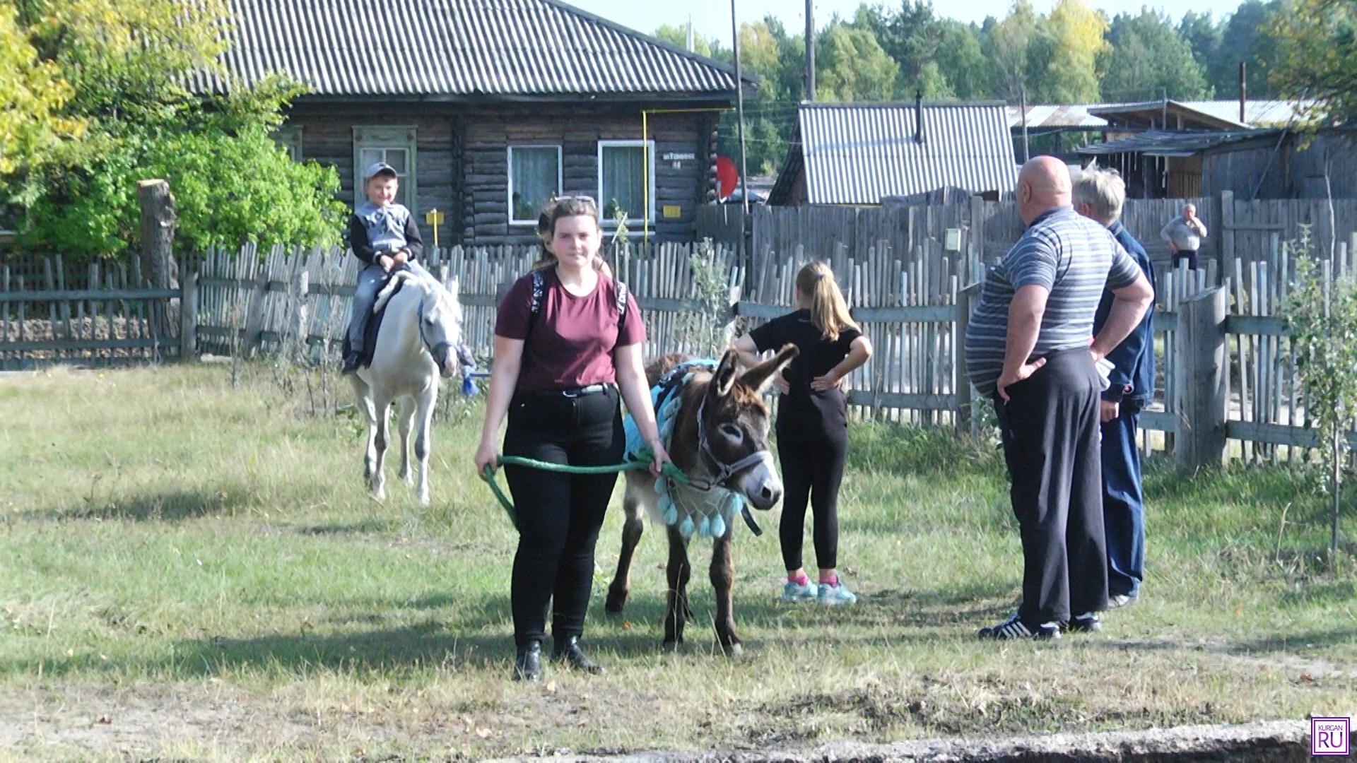 Погода старый просвет курганская