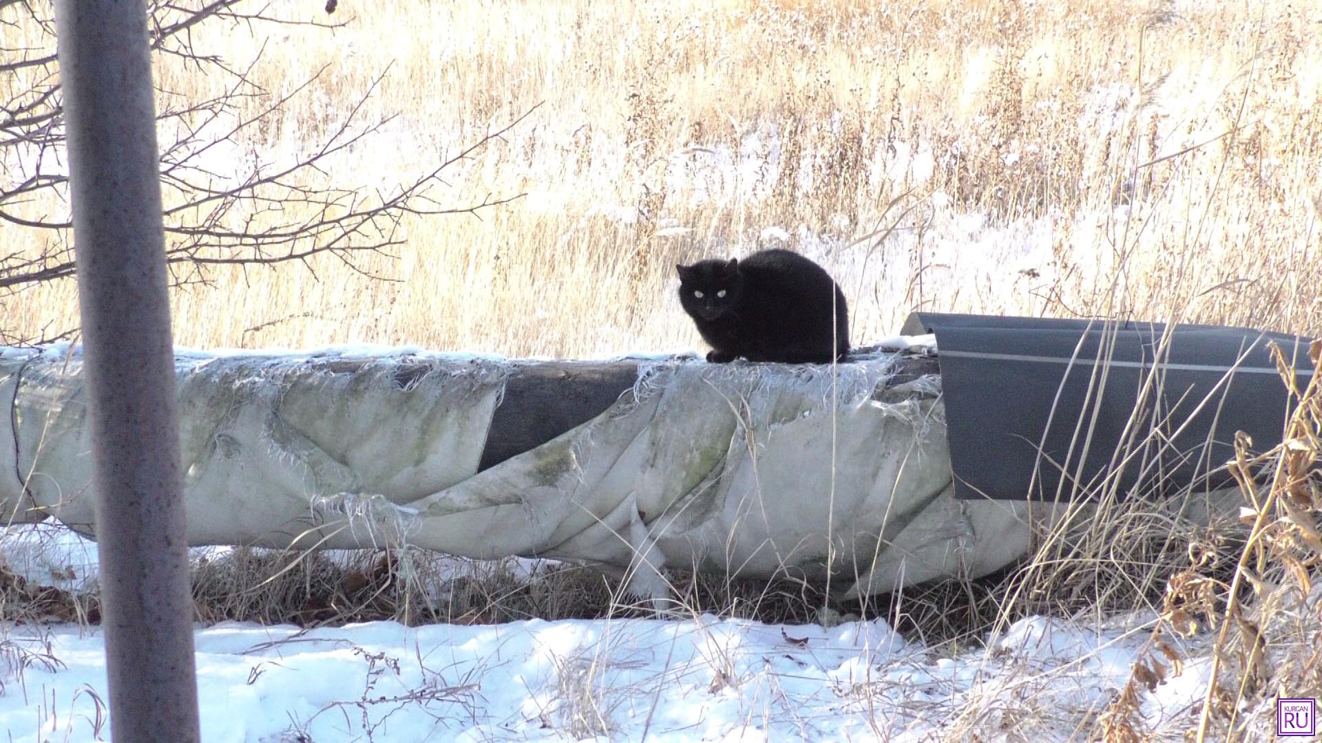 Ходим дома в валенках и тулупах». В Курганской области замерзает населенный  пункт | 02.12.2019 | Курган - БезФормата