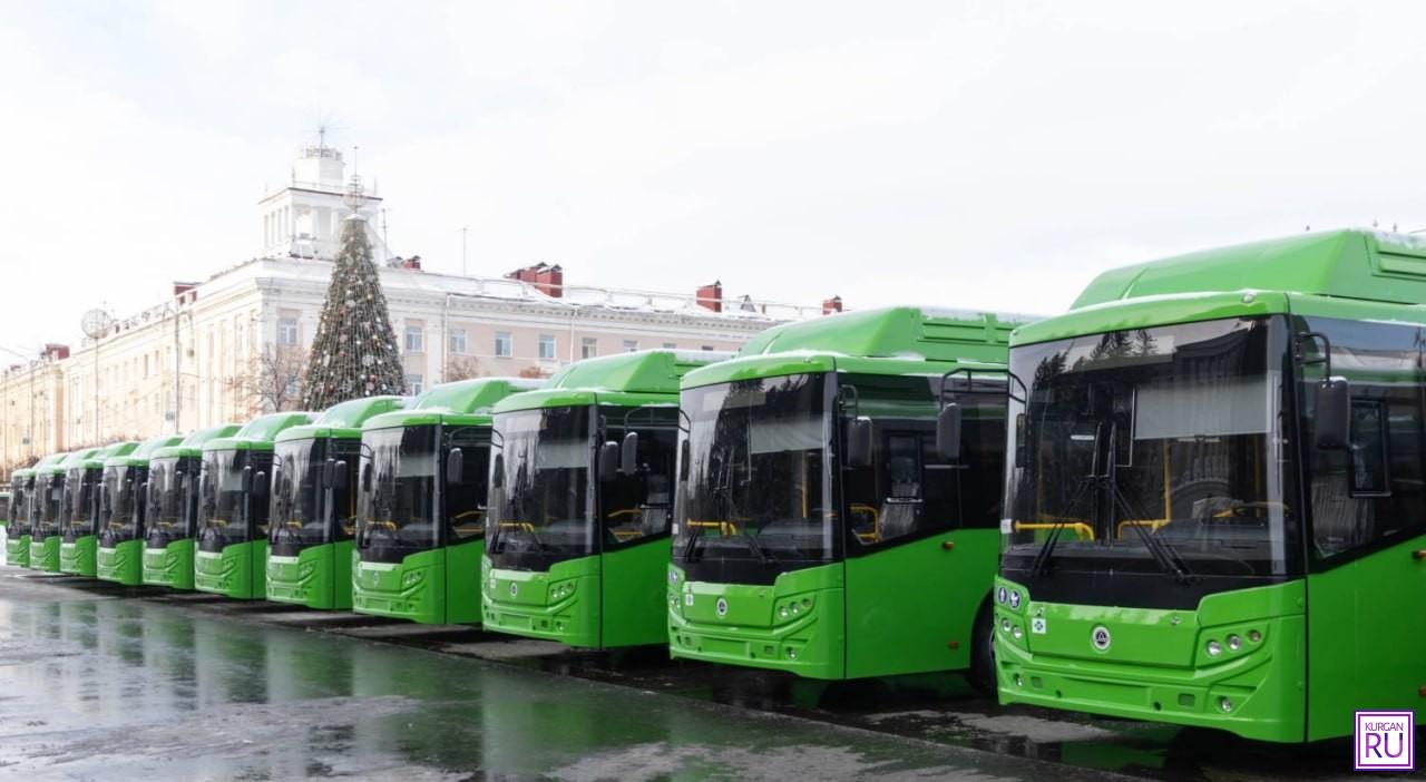 В Кургане на линию выйдет новая партия автобусов | 12.02.2024 | Курган -  БезФормата