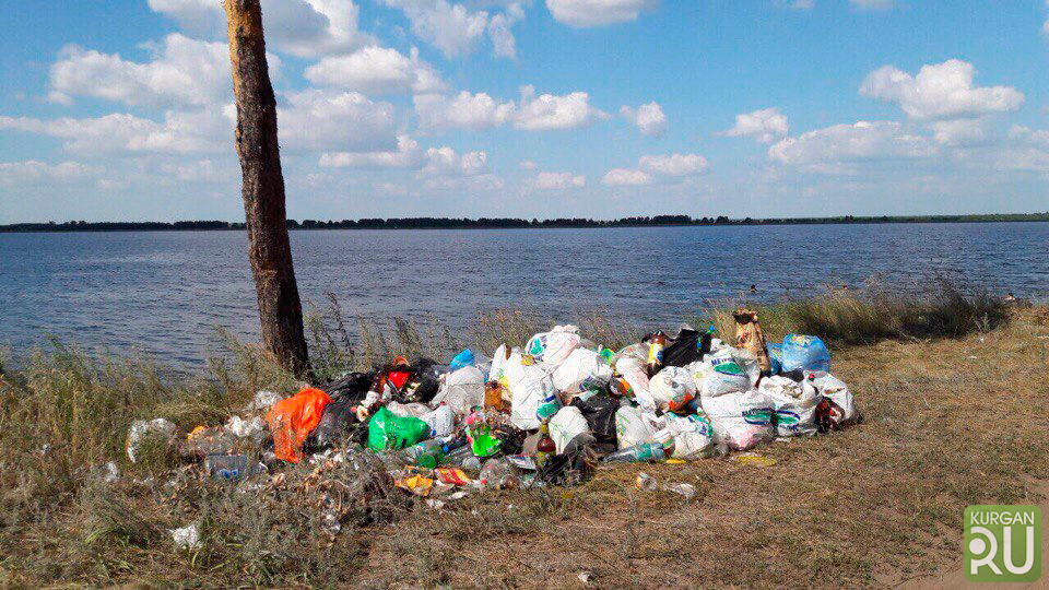 Сосновая роща звериноголовское. Сосновая роща Курган озеро. Озеро Сосновая роща Курганская область. Озеро горькое Курганская область санаторий Сосновая роща.